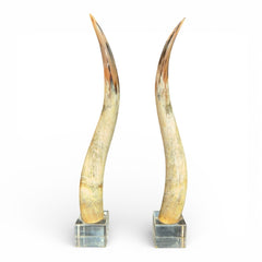 Pair of Large Vintage Steer Horns Mounted in Lucite Cube Bases 35' Tall