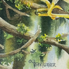 Joan Turner Green Heron Print 14Lx12Wx.5H