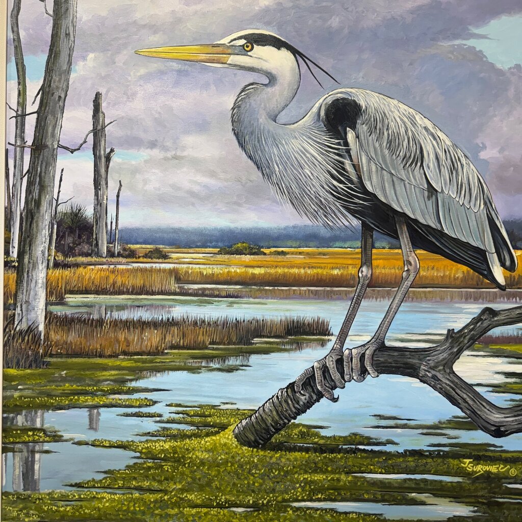 Joe Suroviec Great Blue Heron Original Oil on Canvas, Framed, 44Lx56H