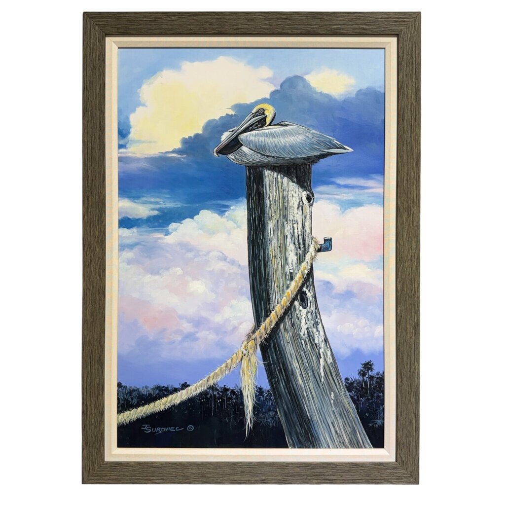 Joe Suroviec Brown Pelican Original Oil on Canvas, Framed, 30Lx42H