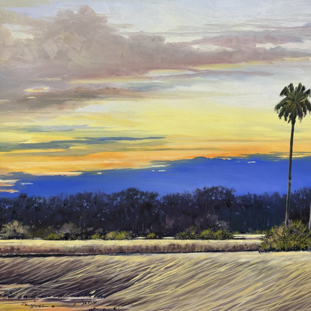 Joe Suroviec Florida Marsh Landscape Original Oil on Canvas, Framed, 43Lx31H